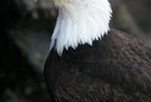 High Country Adventure